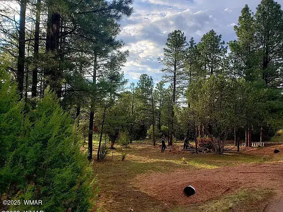 2974 Lookout Lane, Overgaard, AZ 85933 - Image #1