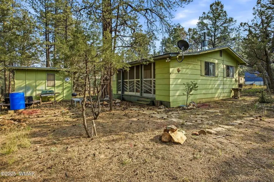2887 Center Road, Overgaard, AZ 85933 - Image #2