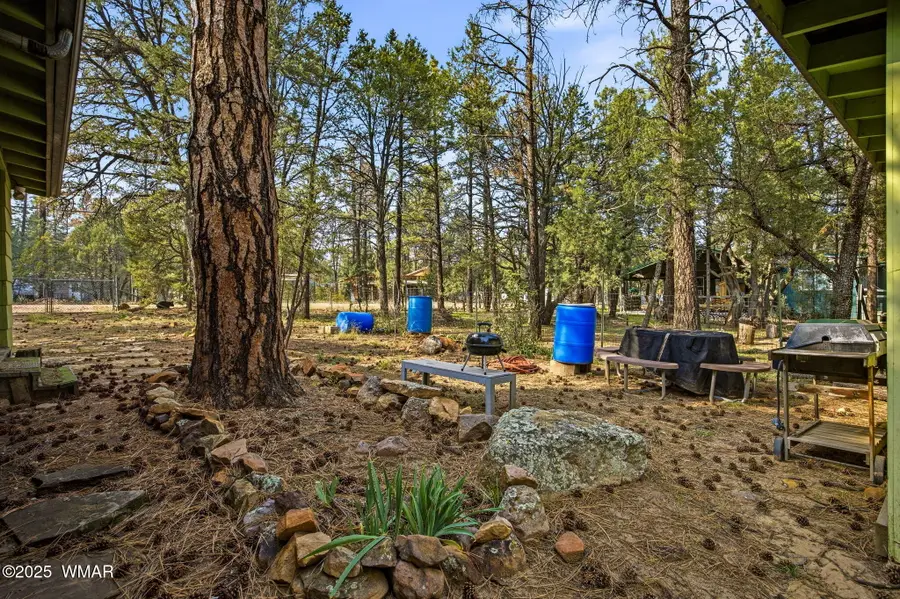 2887 Center Road, Overgaard, AZ 85933 - Image #3