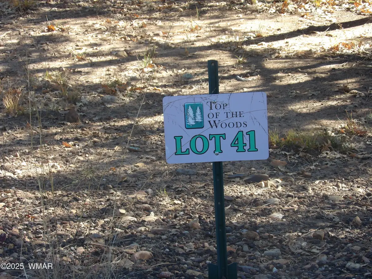 2553 Willow Way, Lakeside, AZ 85929 - Image #1