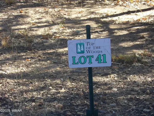 2553 Willow Way, Lakeside, AZ 85929