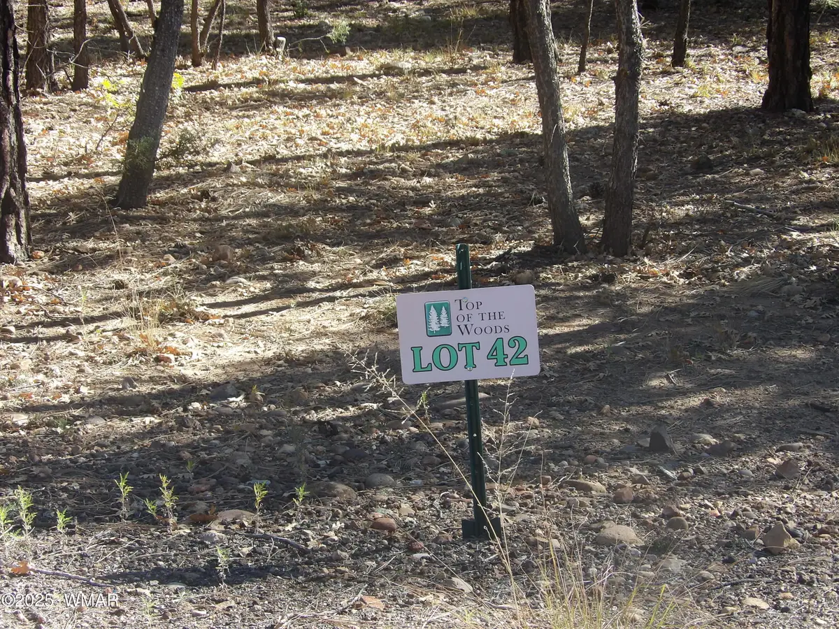 2521 Willow Way, Pinetop, AZ 85935 - Image #1