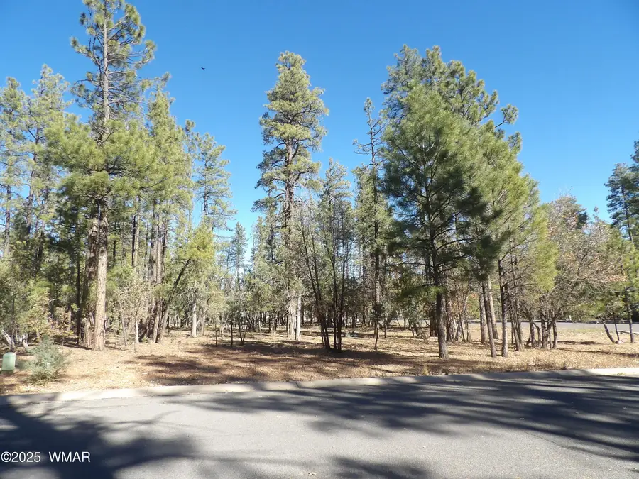 2534 S Aspen Run, Pinetop, AZ 85935 - Image #3