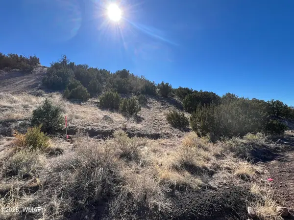 Lot 14 Starlite Drive, Eagar, AZ 85925