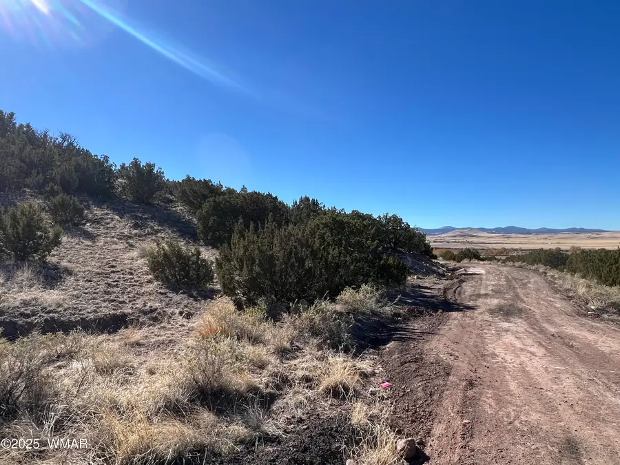 Lot 14 Starlite Drive, Eagar, AZ 85925 - Image #3