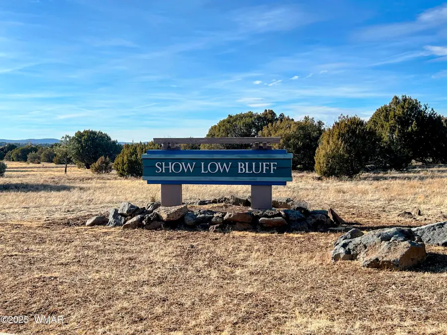 2261 E Rimstone Drive, Show Low, AZ 85901 - Image #3