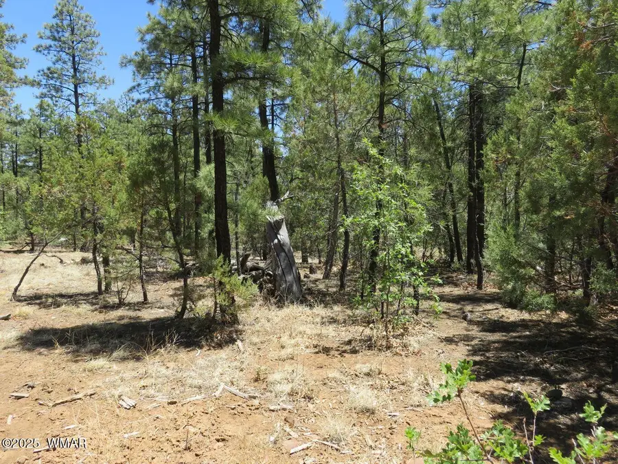 1651 S Falling Leaf Road, Show Low, AZ 85901 - Image #2