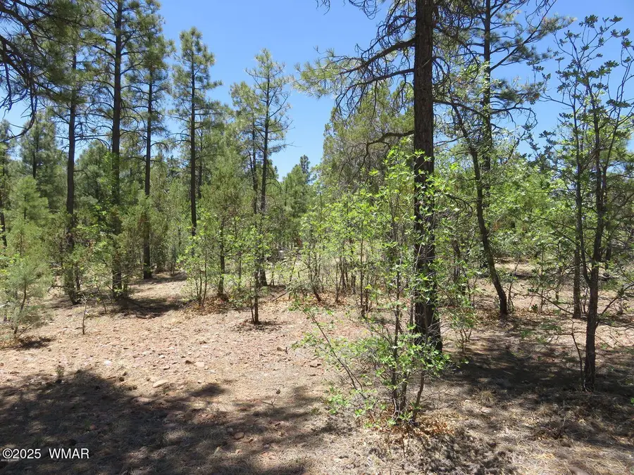 1651 S Falling Leaf Road, Show Low, AZ 85901 - Image #3