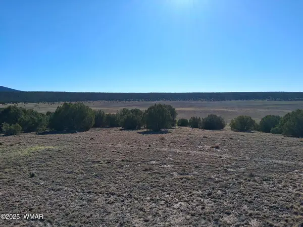 22 N 8171, Concho, AZ 85924