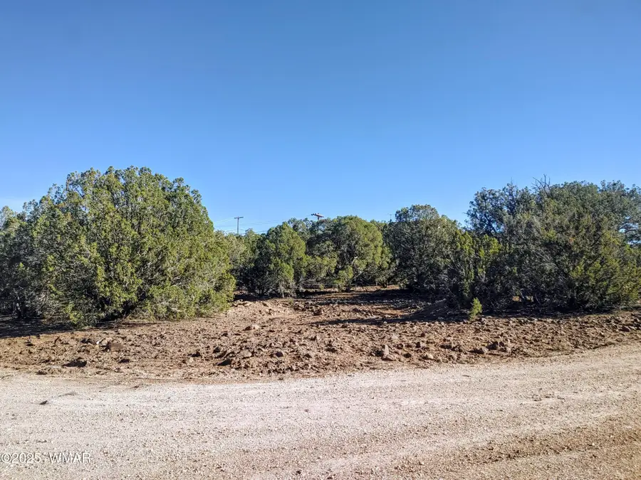 1841 Rocky Bottom Place, Show Low, AZ 85901 - Image #2