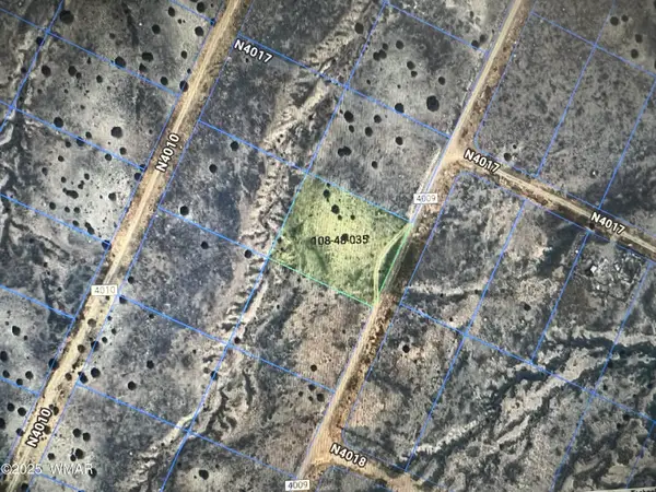 Lot 19 County Road N4009, St. Johns, AZ 85936