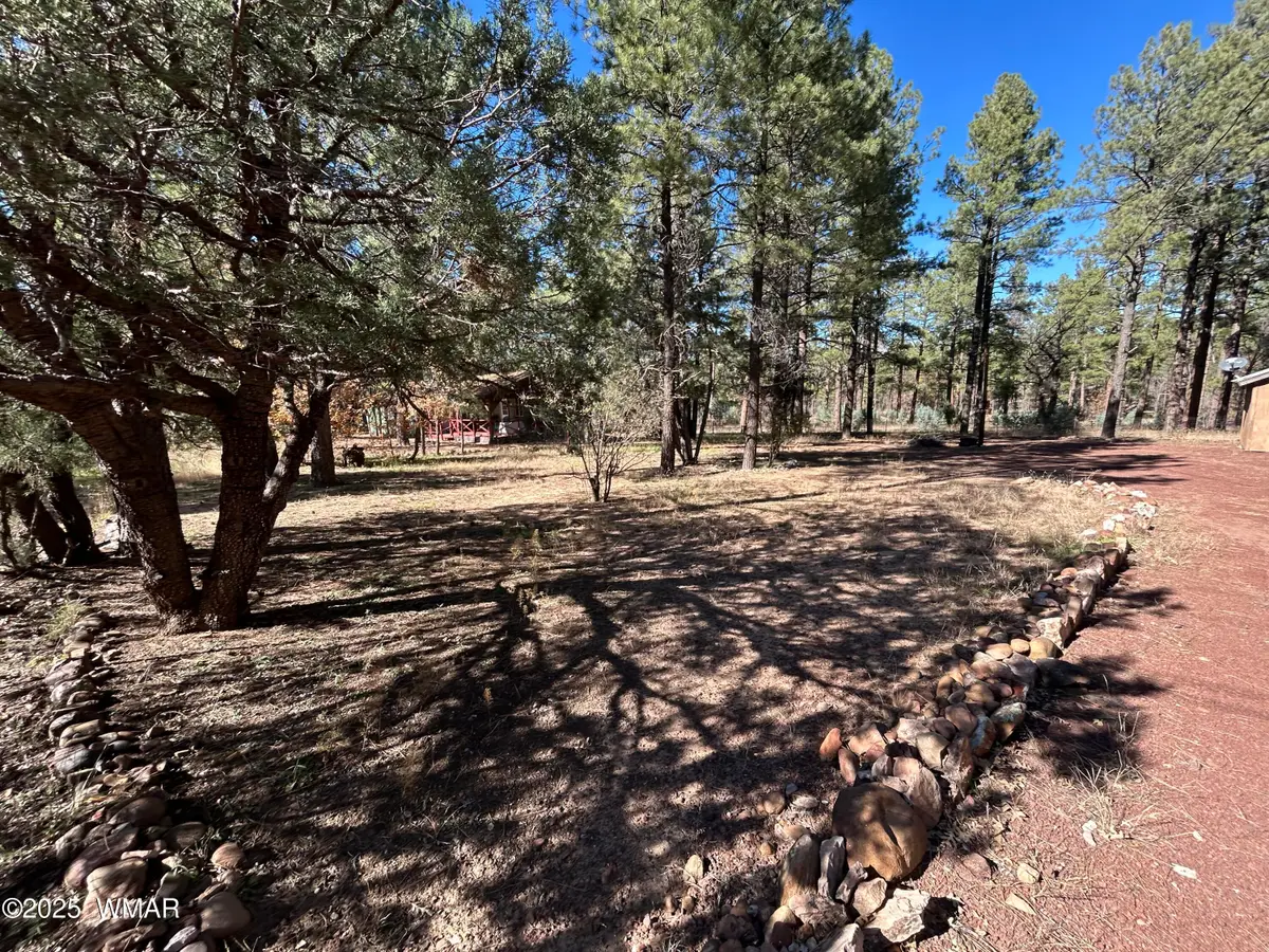 2822 Gold Dust Trail, Show Low, AZ 85901 - Image #1