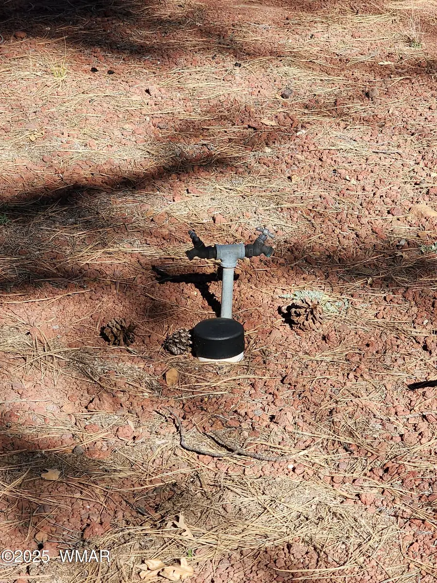 2822 Gold Dust Trail, Show Low, AZ 85901 - Image #3