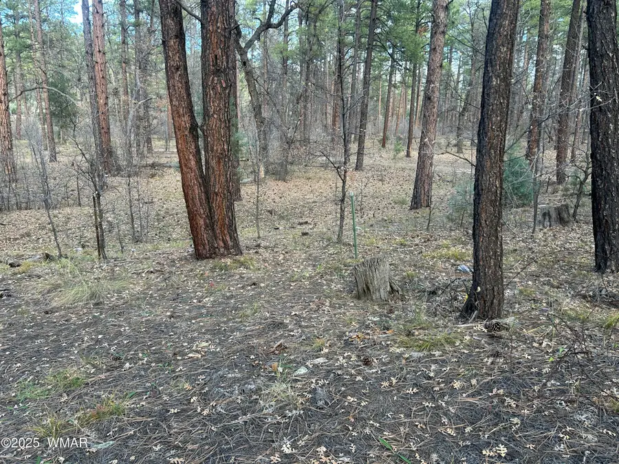 4041 S Gold Dust Trail, Show Low, AZ 85901 - Image #2