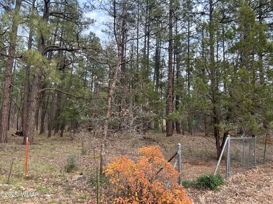 4041 S Gold Dust Trail, Show Low, AZ 85901 - Image #3