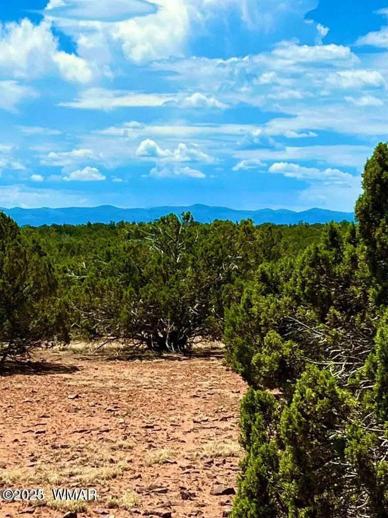 85 County Road 8070, Concho, AZ 85924 - Image #2