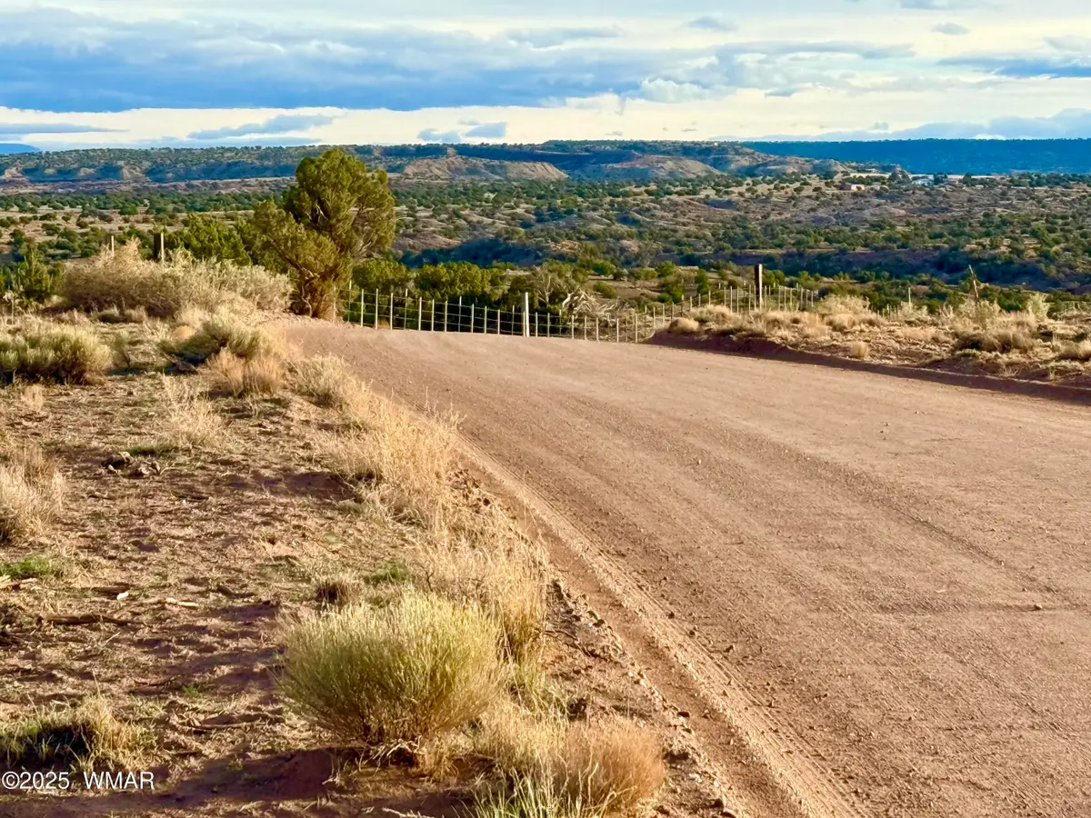 480 County Rd N6400, Saint Johns, AZ 85936 - Image #1