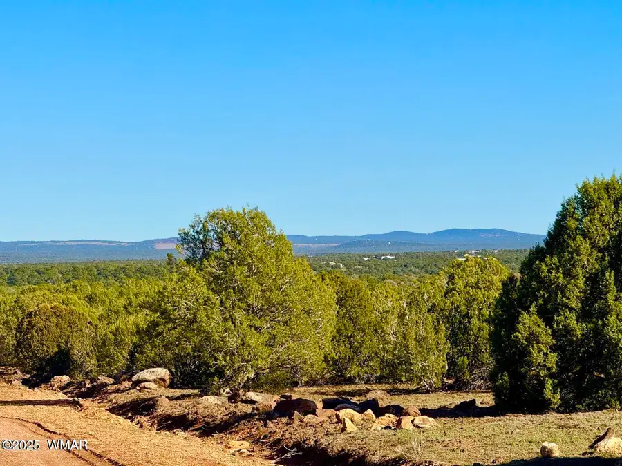 TBD Mustang Ln Lots F & H 5.5 Acre, Show Low, AZ 85901 - Image #3