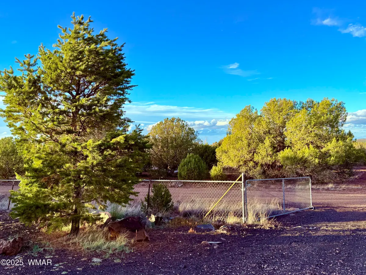 8373 Juniper Drive, Show Low, AZ 85901 - Image #1