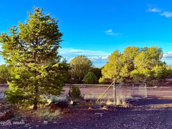 8373 Juniper Drive, Show Low, AZ 85901