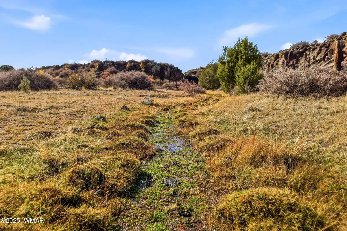 00 Tbd, Greer, AZ 85927 - Image #1