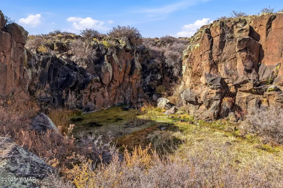 00 Tbd, Greer, AZ 85927 - Image #2