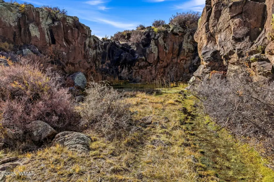 00 Tbd, Greer, AZ 85927 - Image #3