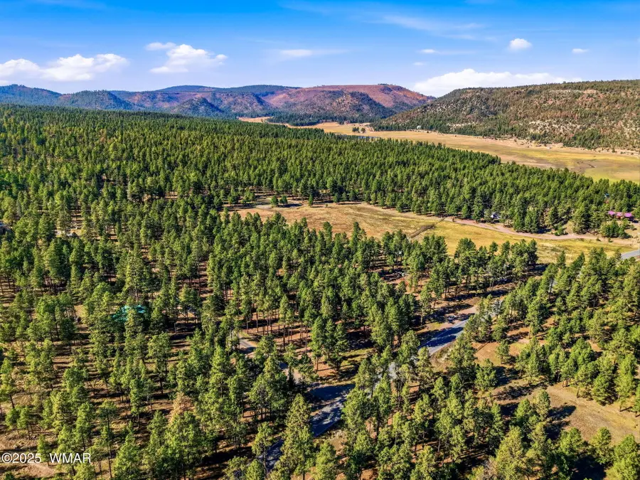 25319 Us Hwy 191, Alpine, AZ 85920 - Image #3