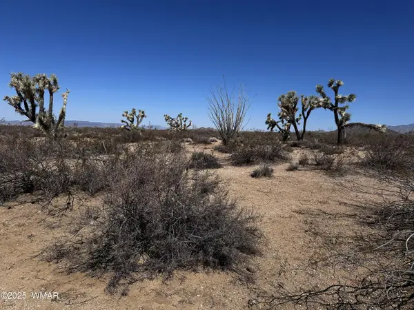 17404 S Jesse James Road, Lake Havasu City, AZ 86401