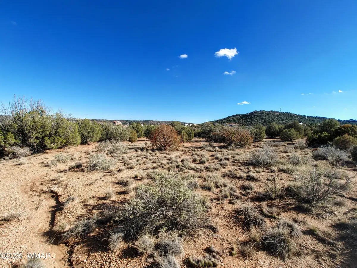 Parcel 3 W Shumway Rd, Taylor, AZ 85939 - Image #1