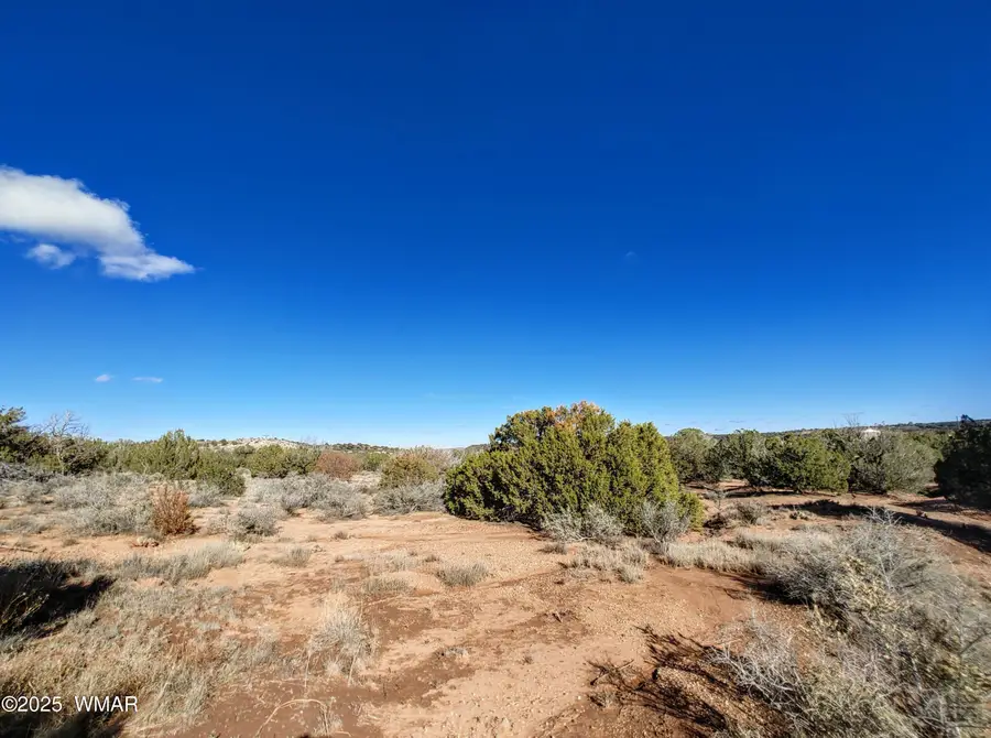 Parcel 3 W Shumway Rd, Taylor, AZ 85939 - Image #2