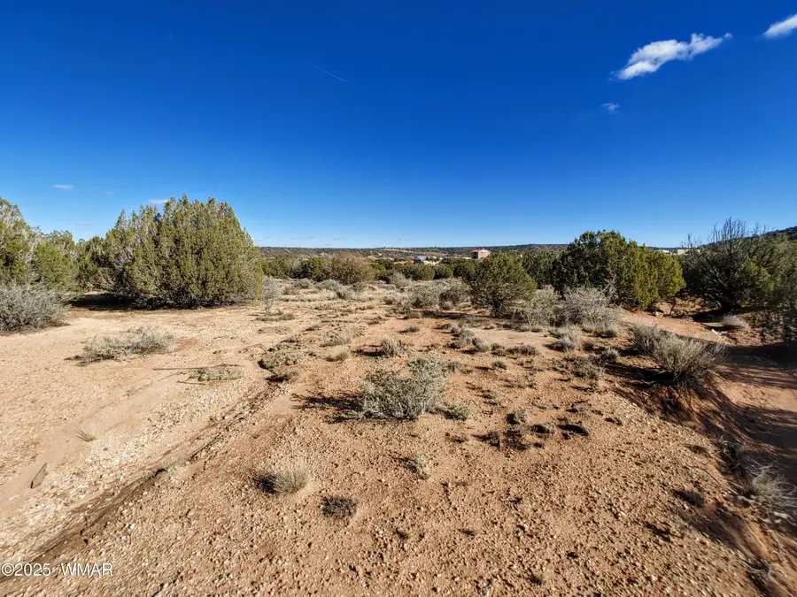 Parcel 3 W Shumway Rd, Taylor, AZ 85939 - Image #3