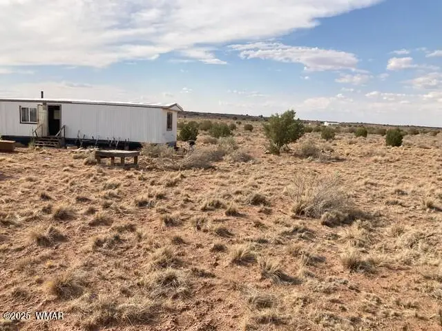 5324 White Antelope Road, Snowflake, AZ 85937 - #3