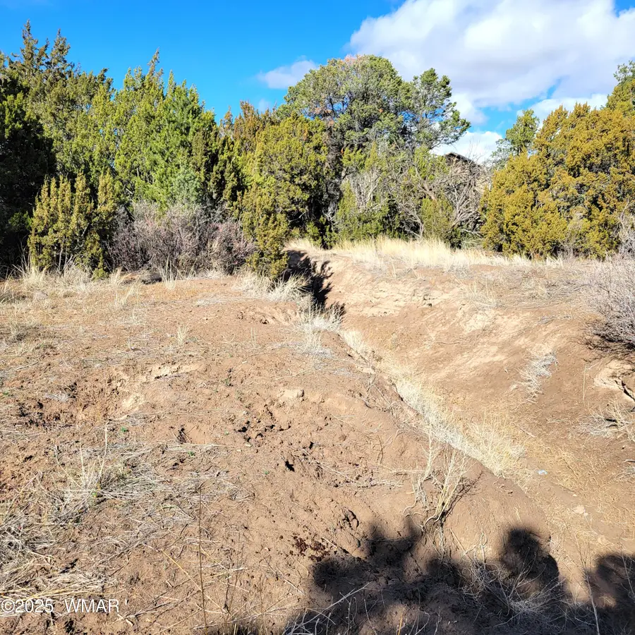 TBD Spanish Trail, Eagar, AZ 85925 - Image #2