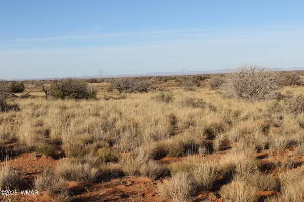 Lot 224 Ccr, Heber, AZ 85928