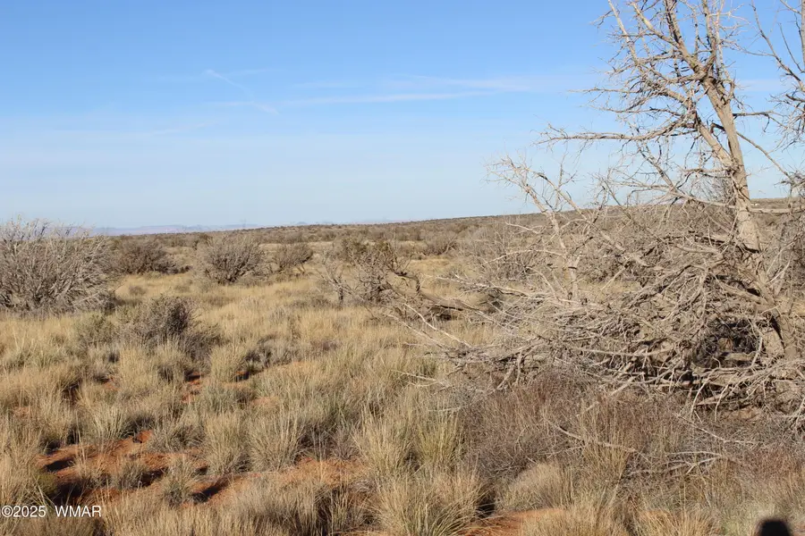 Lot 224 Ccr, Heber, AZ 85928 - Image #3