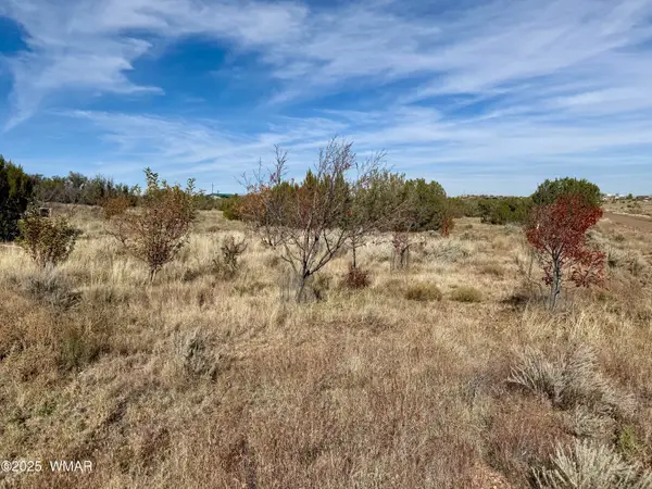 3920 S Freeman Hollow Road, Snowflake, AZ 85937