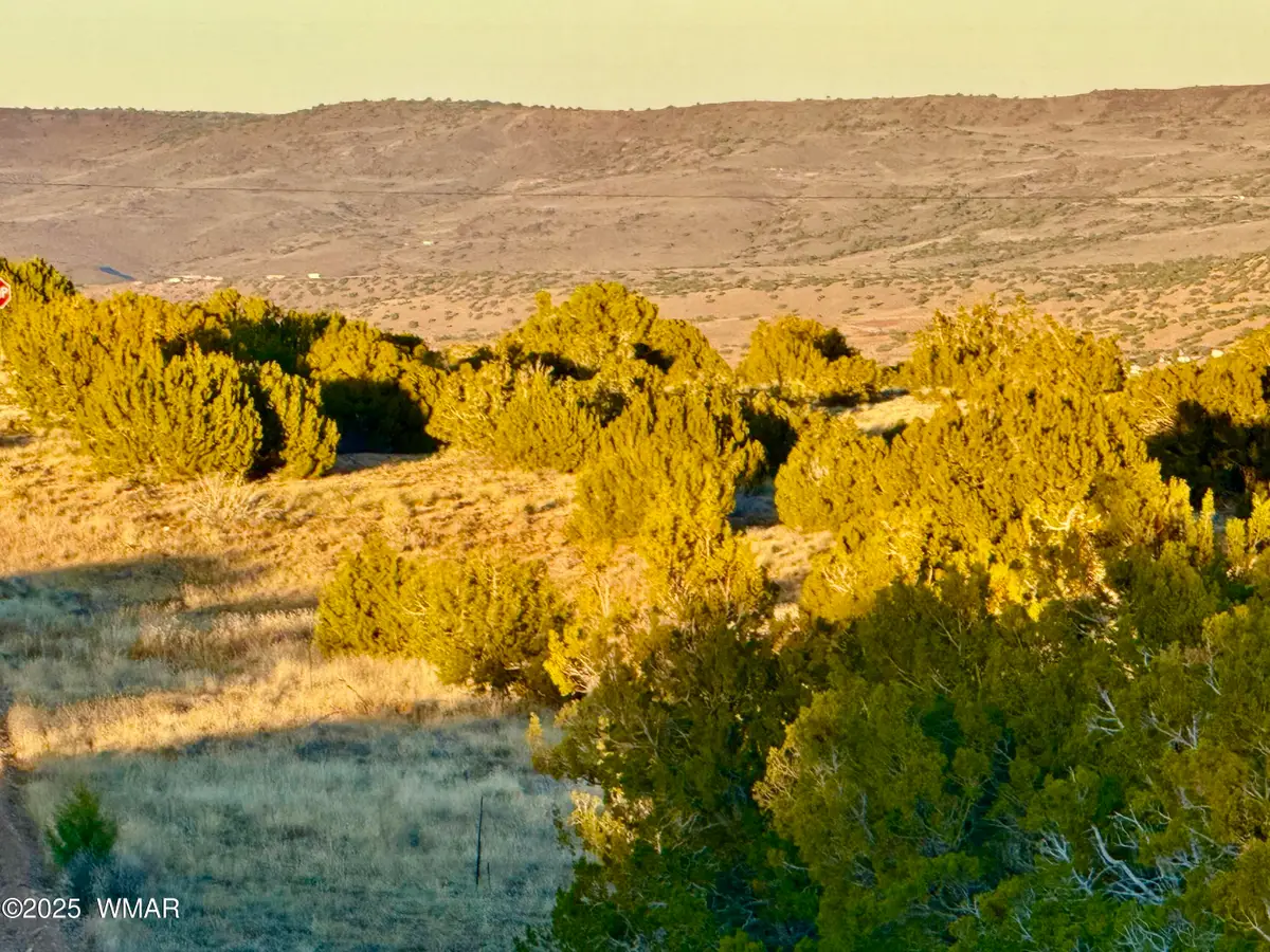 136 Zuni Drive, Concho, AZ 85924 - Image #1