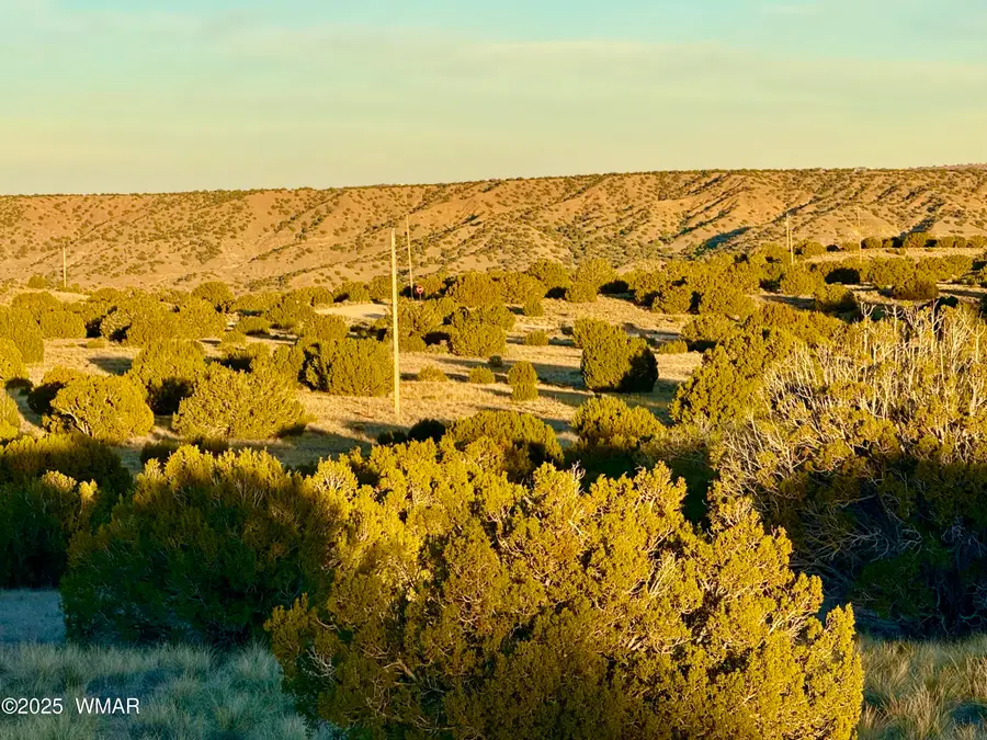 136 Zuni Drive, Concho, AZ 85924 - Image #3