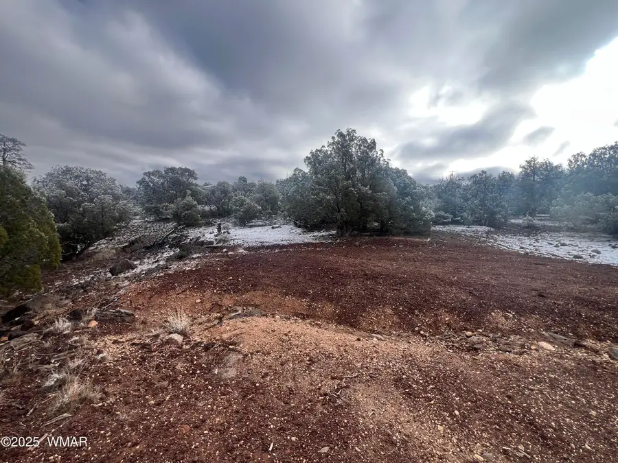 1847 Rocky Bottom Place, Show Low, AZ 85901 - Image #2