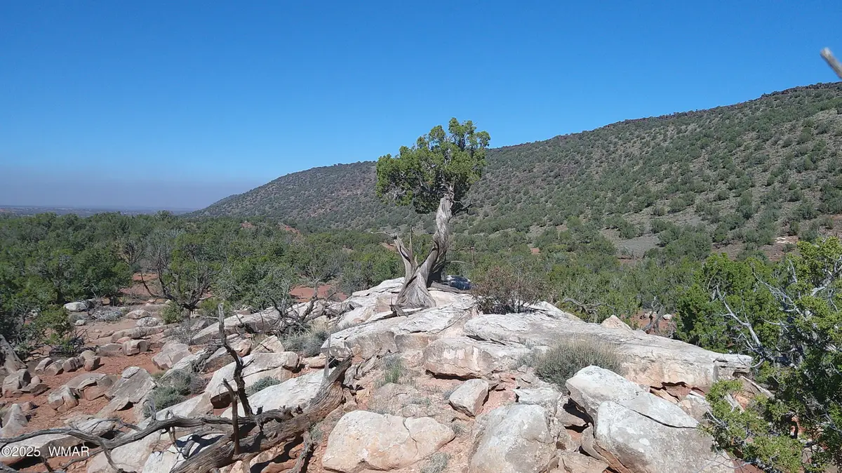 9591 Privette Trail, Snowflake, AZ 85937 - Image #1