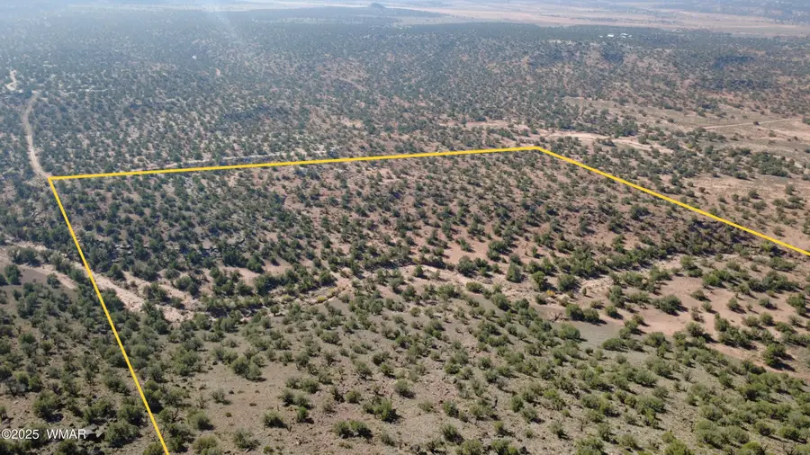 9591 Privette Trail, Snowflake, AZ 85937 - Image #2