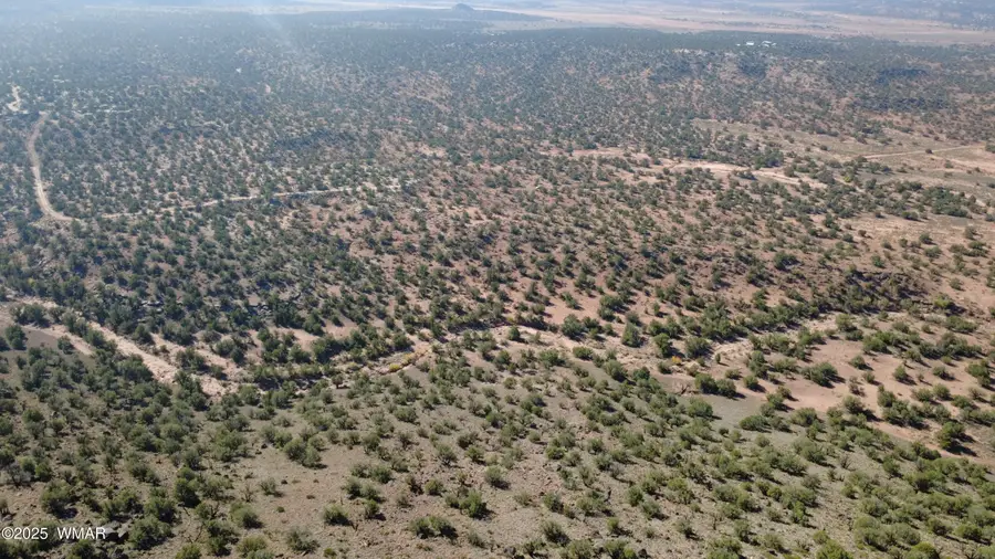 9591 Privette Trail, Snowflake, AZ 85937 - Image #3