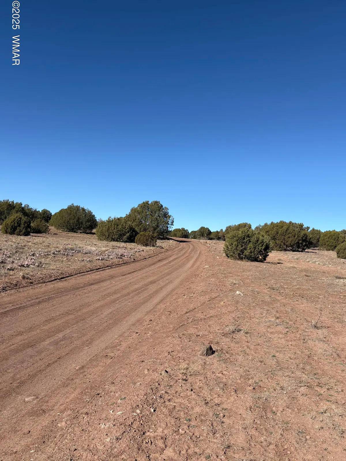 TBD N8715, Concho, AZ 85924 - Image #1
