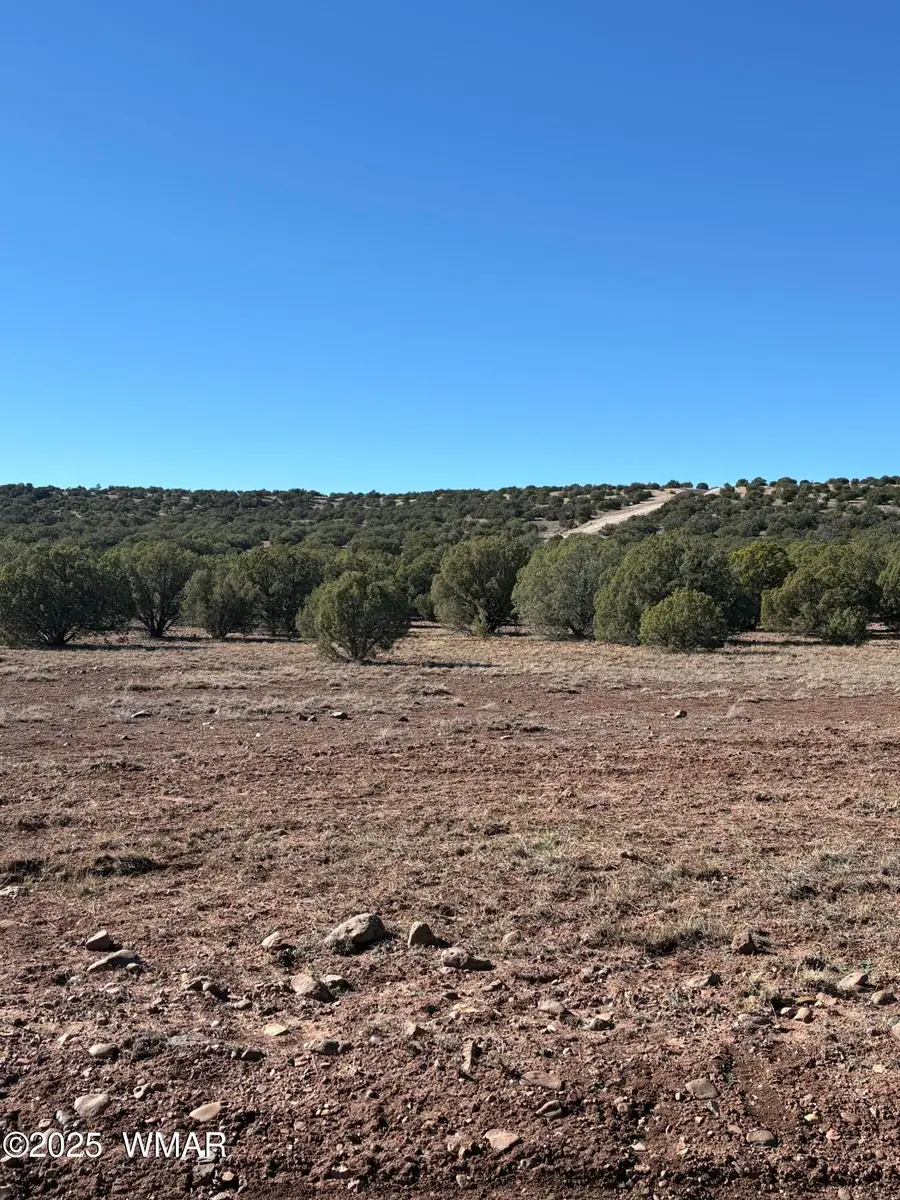 TBD N8715, Concho, AZ 85924 - Image #3