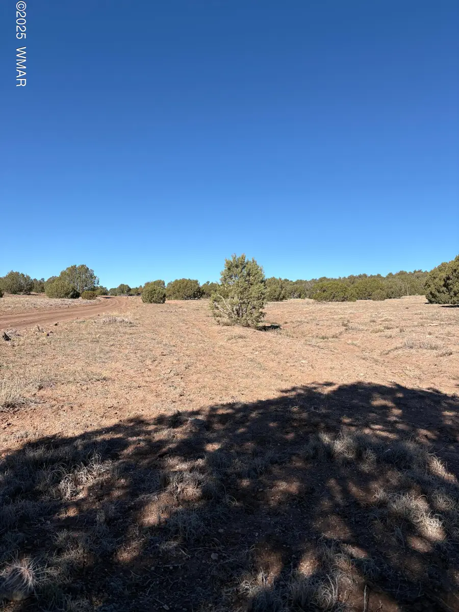 5 N8715, Concho, AZ 85924 - Image #3