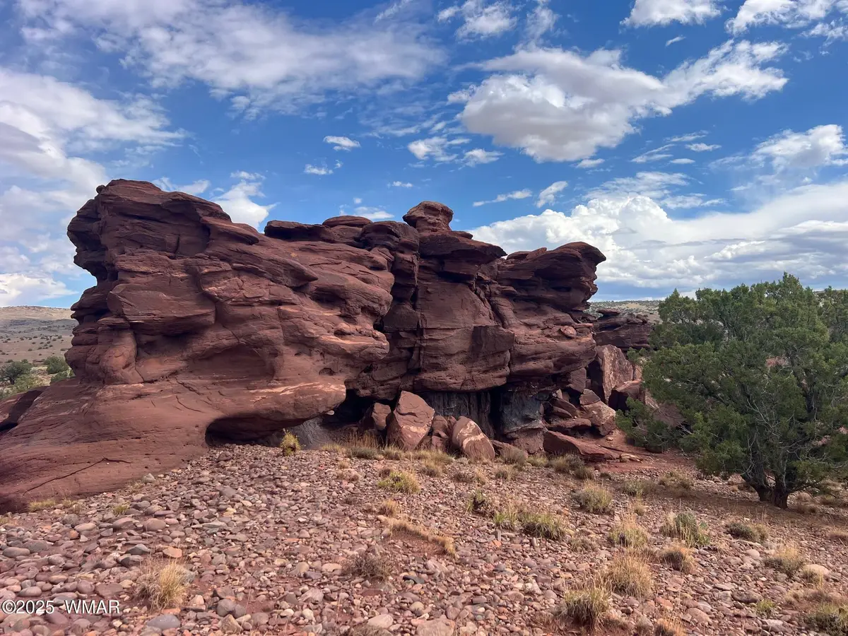 000 N5158, Concho, AZ 85924 - Image #1