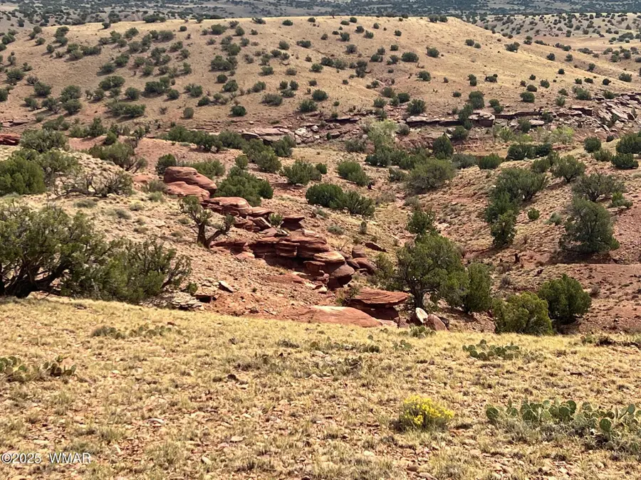 000 N5158, Concho, AZ 85924 - Image #3