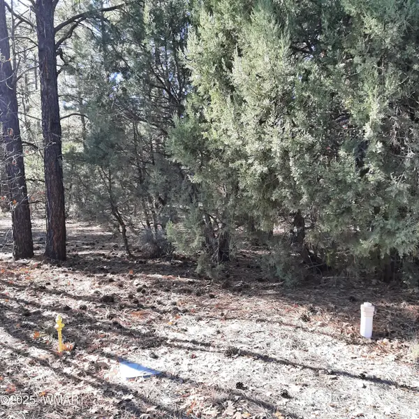 3321 W Mariposa Lane, Show Low, AZ 85901