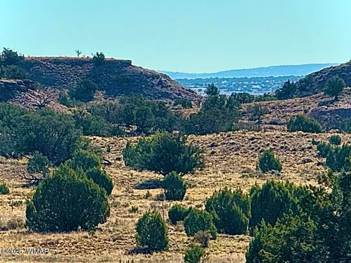 228 County Rd N9328, Concho, AZ 85924 - Image #1